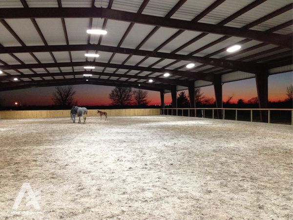 steel equestrian building in texas