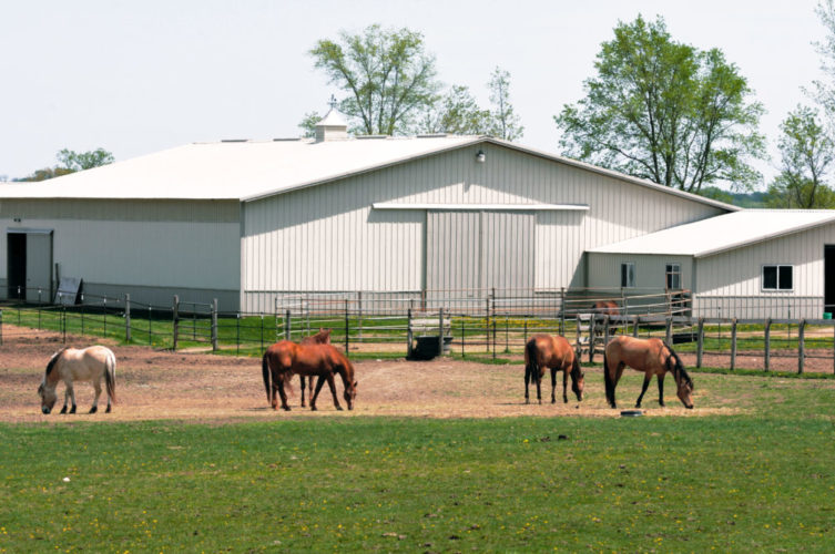 prefabricated metal horse barns