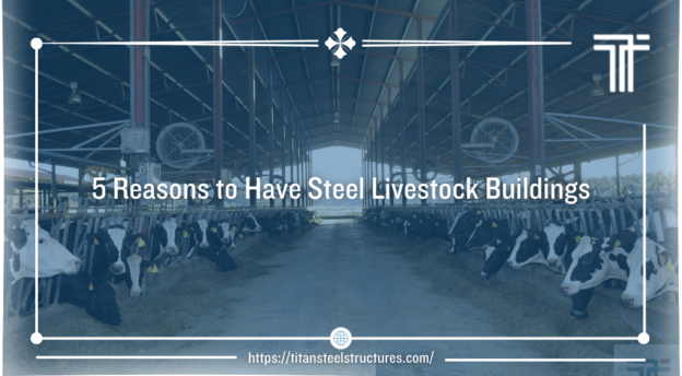 5 reasons to have steel livestock buildings