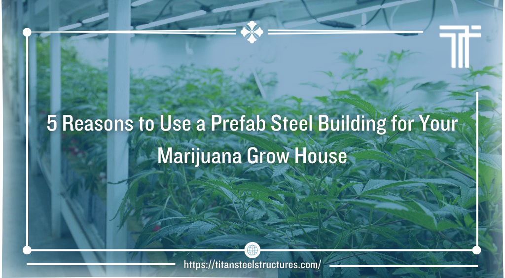 5 Reasons to Use a Prefab Steel Building for Your Marijuana Grow House