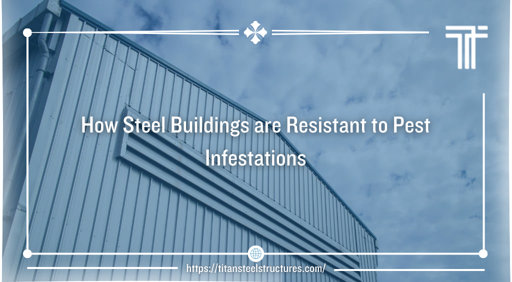 How Steel Buildings are Resistant to Pest Infestations